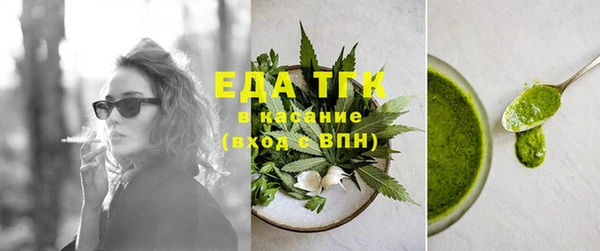 гашик Ельня