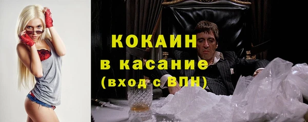 гашик Ельня