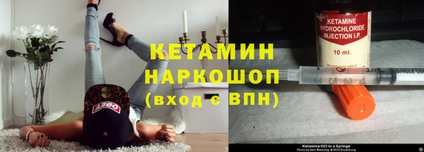 гашик Ельня