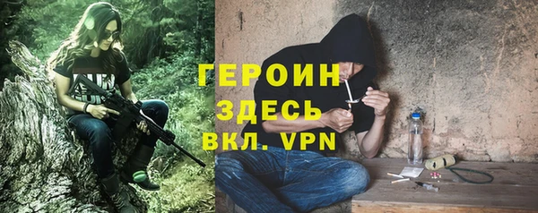 гашик Ельня