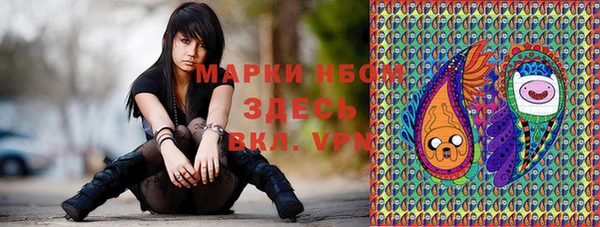 гашик Ельня