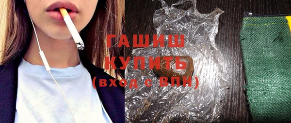 гашик Ельня