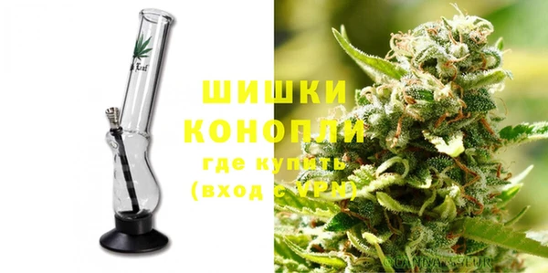 гашик Ельня