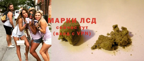 гашик Ельня