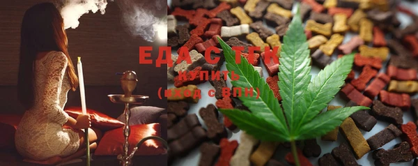 гашик Ельня