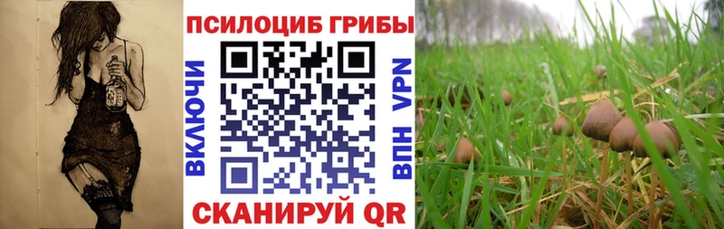 Галлюциногенные грибы прущие грибы  Купить  Костерёво 